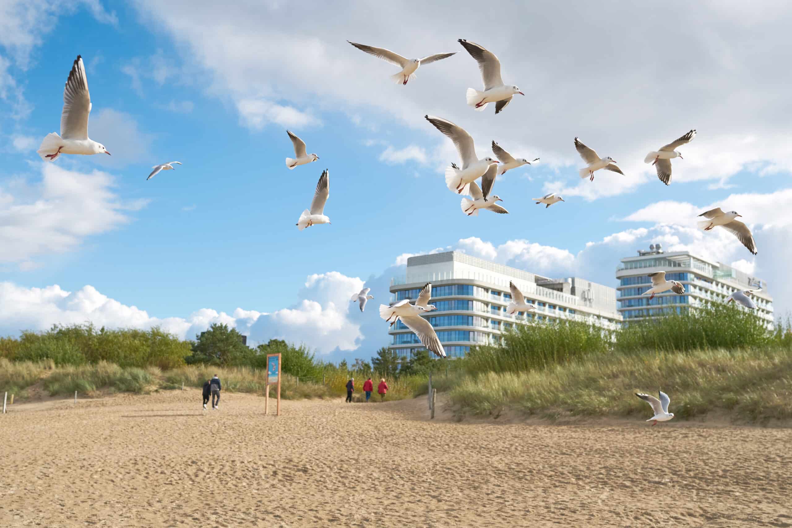 Wynajem apartamentów w Świnoujściu – relaks nad morzem