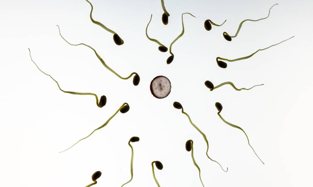 Czy test ciążowy może się mylić?