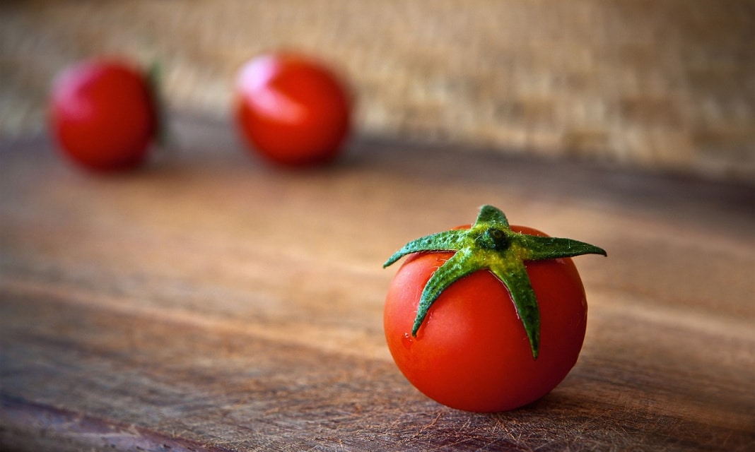Czym podlewać siewki pomidorów?