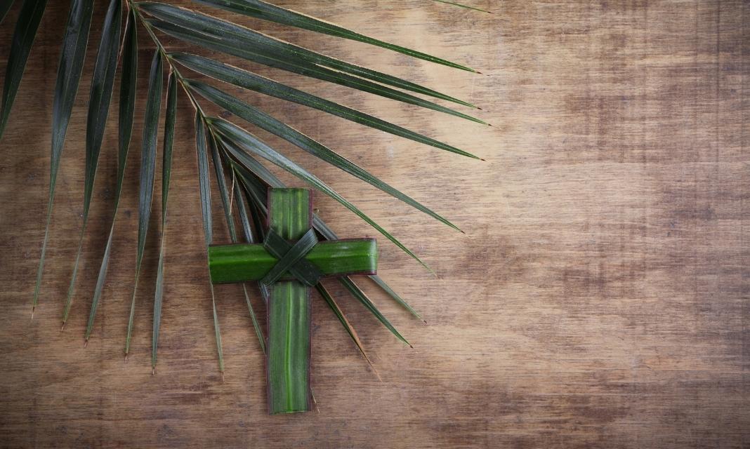 Niedziela Palmowa w Płońsku – Tradycje i obchody