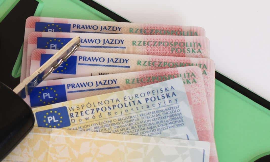 Prawo Jazdy Płońsk