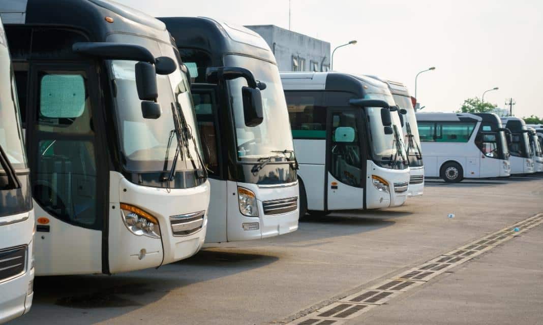 Wypożyczalnia Busów Płońsk